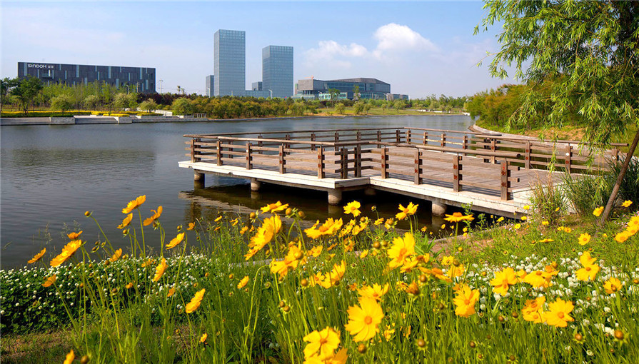 青島高新區水系景觀設計